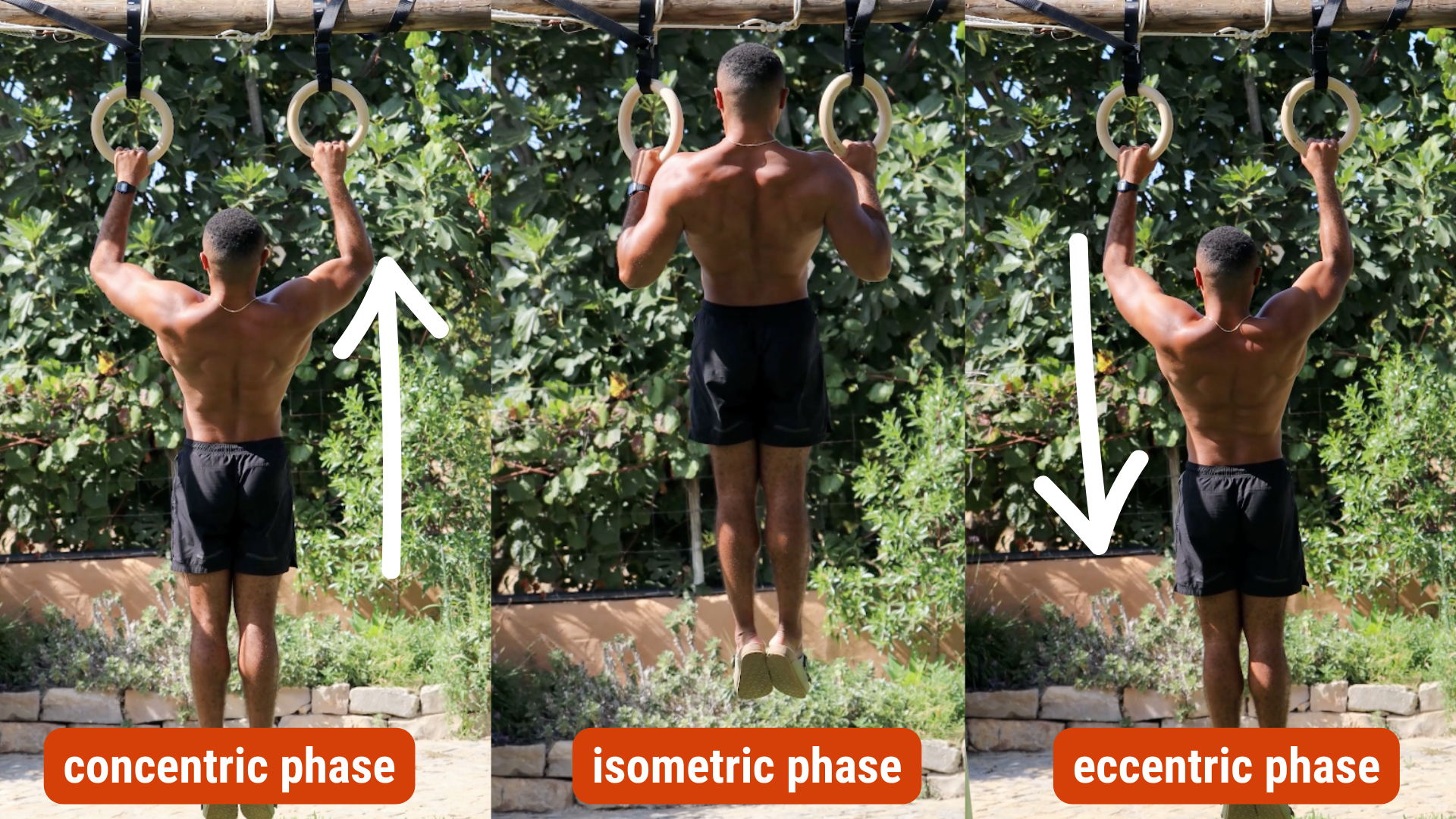 Eccentric Muscle Contraction Exercises