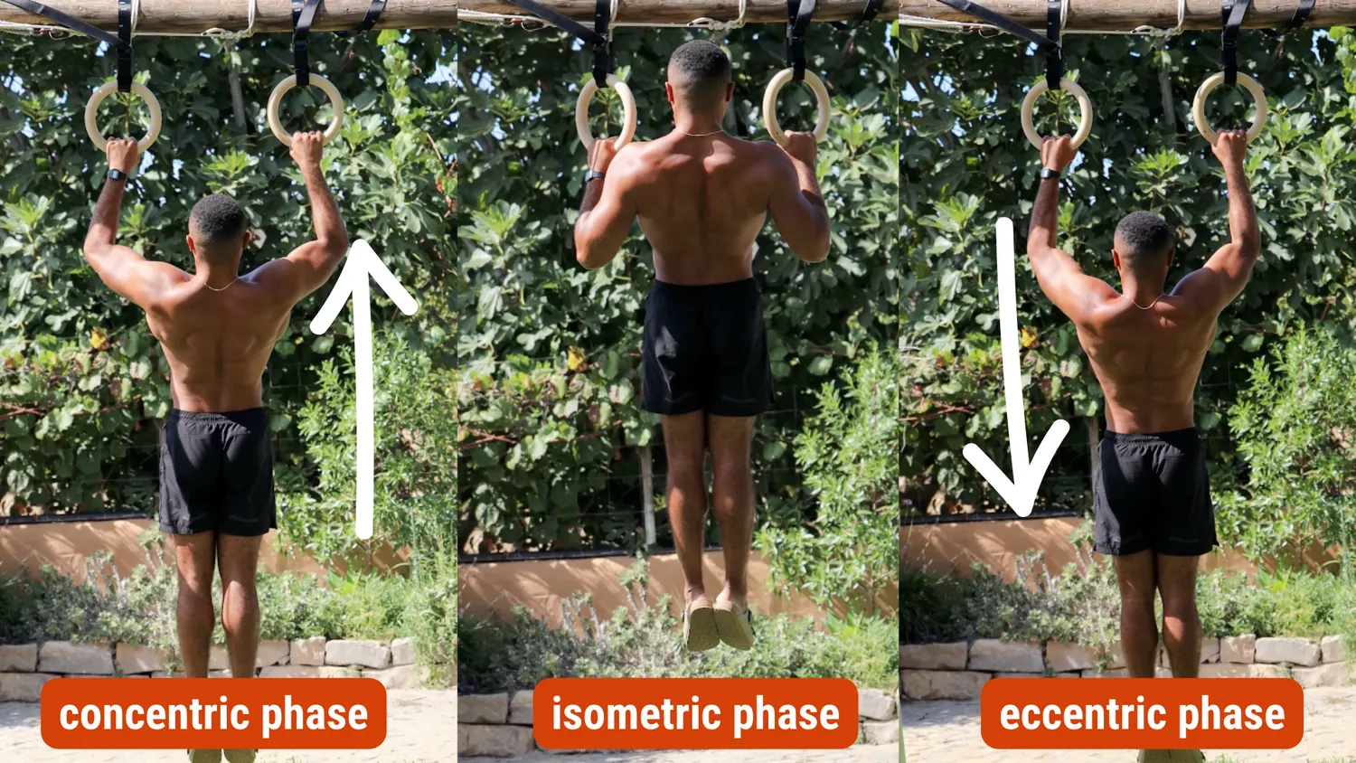 What ist concentric and eccentric muscle training
