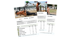 Calisthenics Trainingsplan PDF